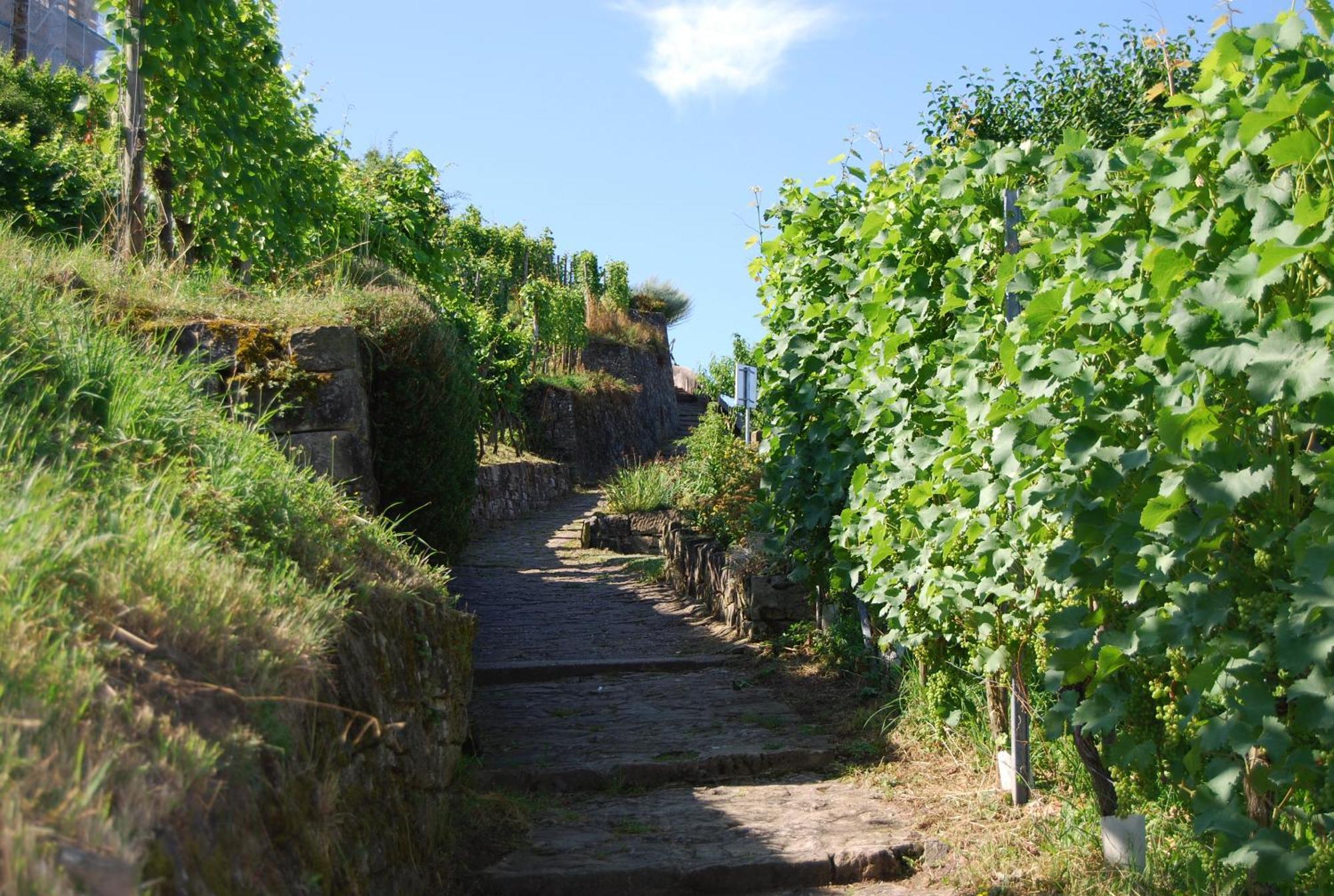 Unter Der Yburg Stetten Stetten  Eksteriør billede