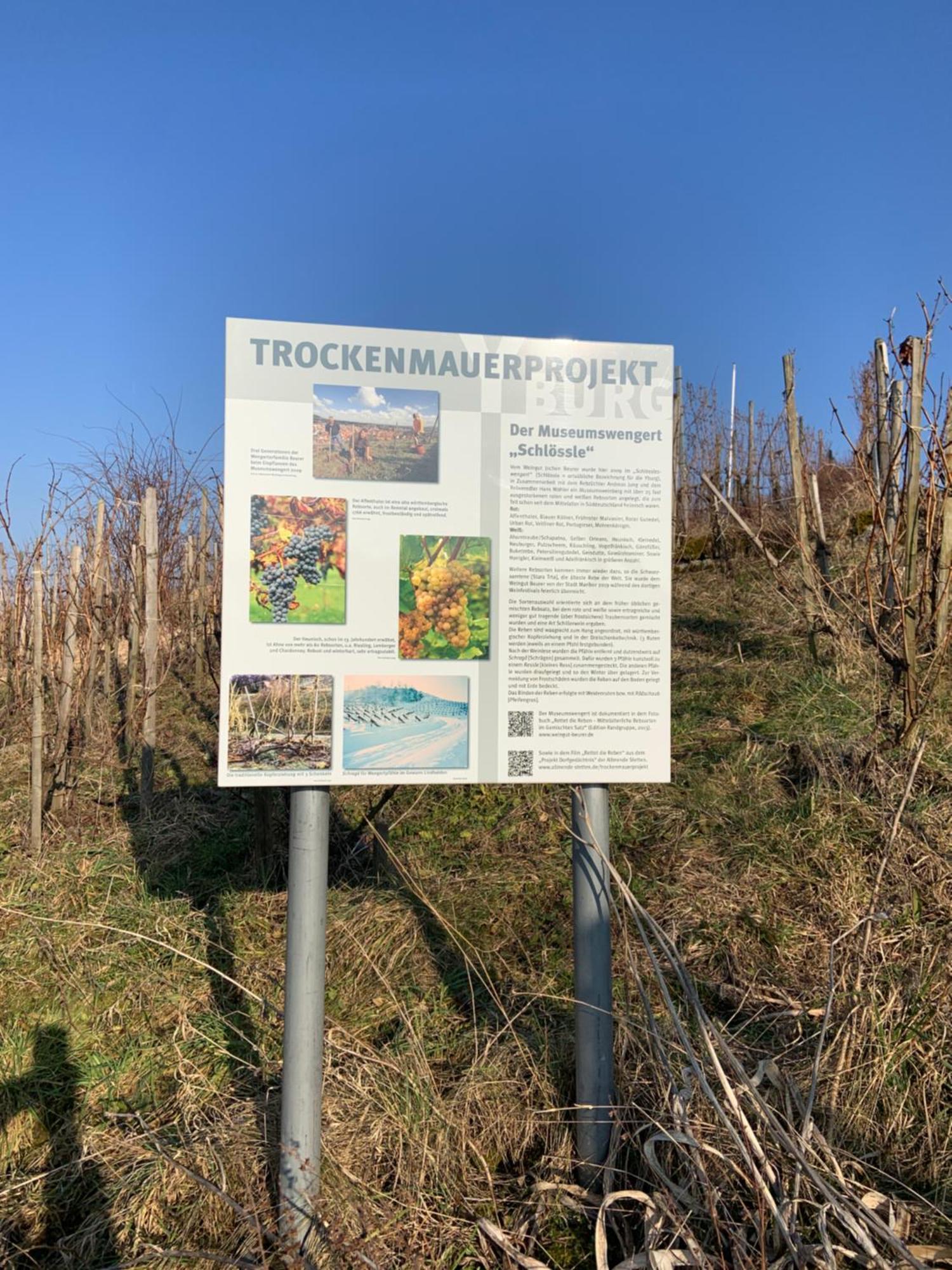 Unter Der Yburg Stetten Stetten  Eksteriør billede